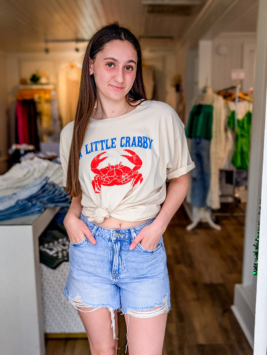 High Rise Denim Shorts With Raw Hem