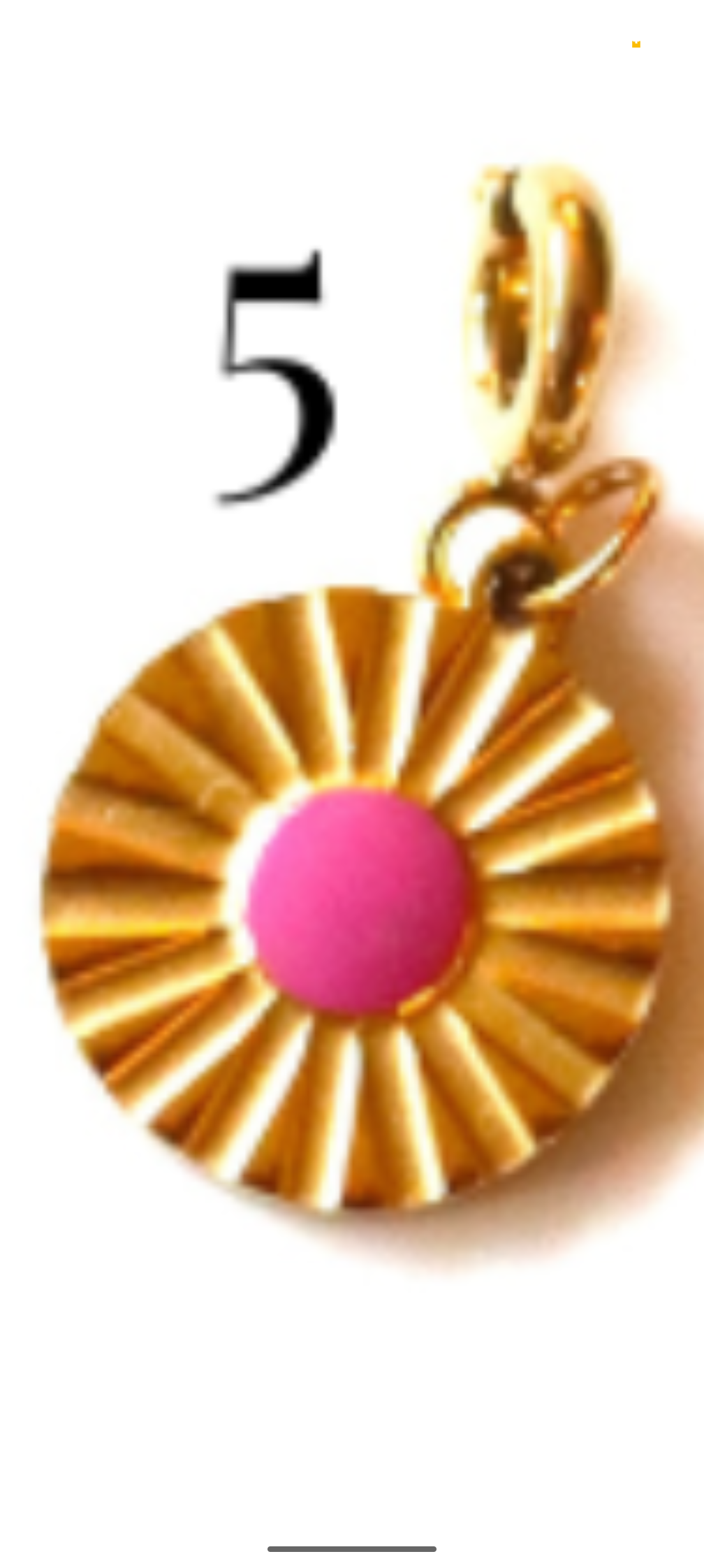 Stainless Steel Gold Plated Pink Collection Charms