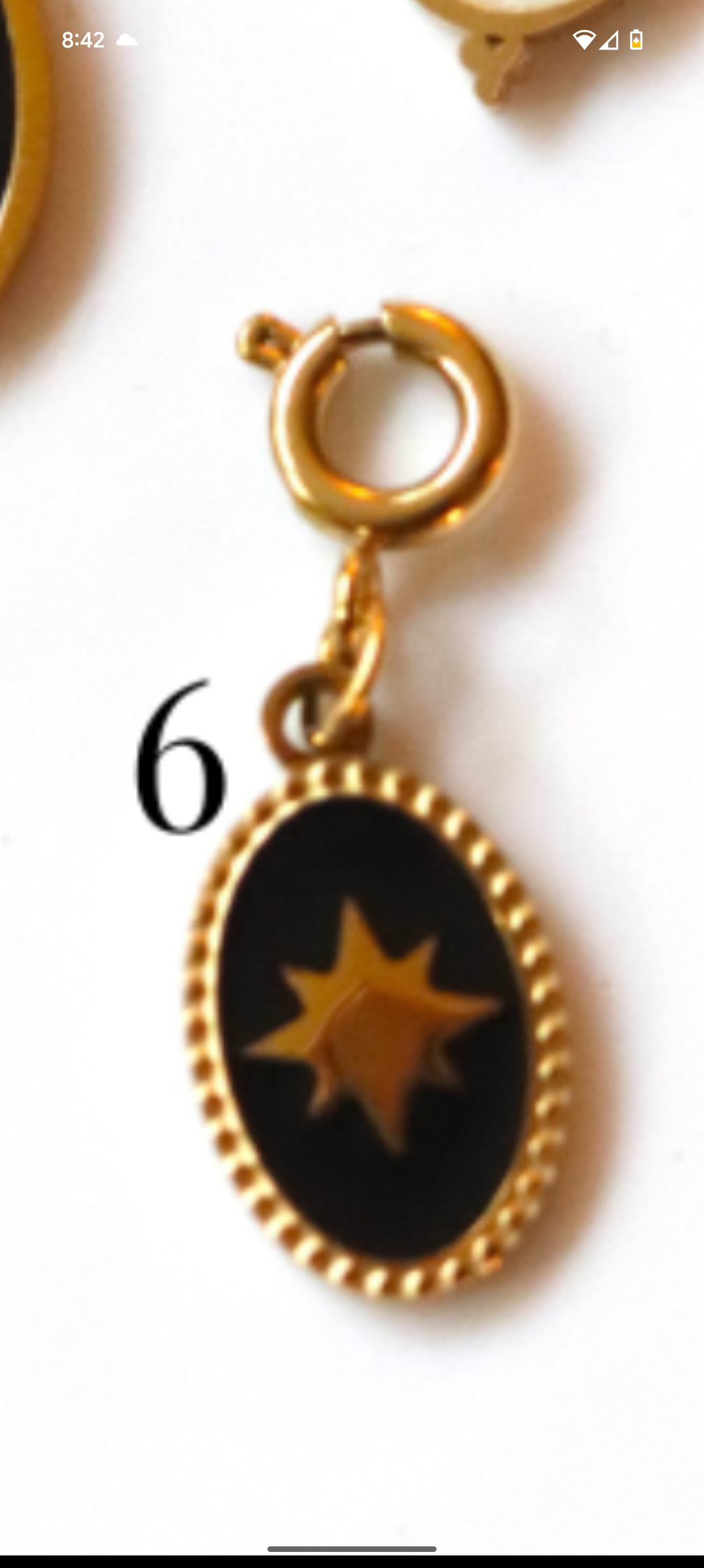 Stainless Steel Clippable Black and White Collection Charms